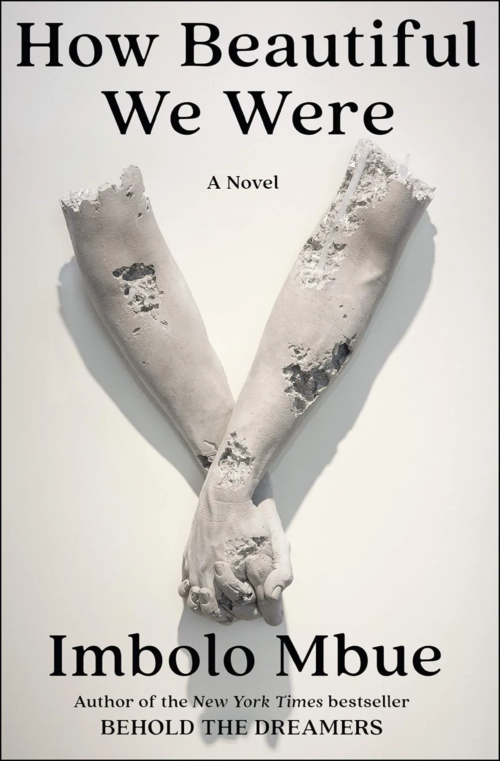 How Beautiful We Were Book Cover