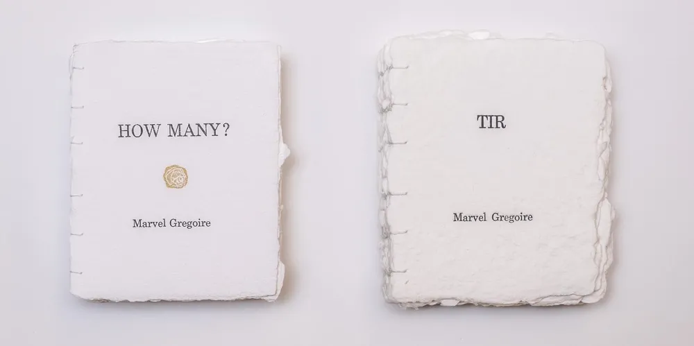 Covers of "How Many?" and "Tir" by Marvel Grégoire 