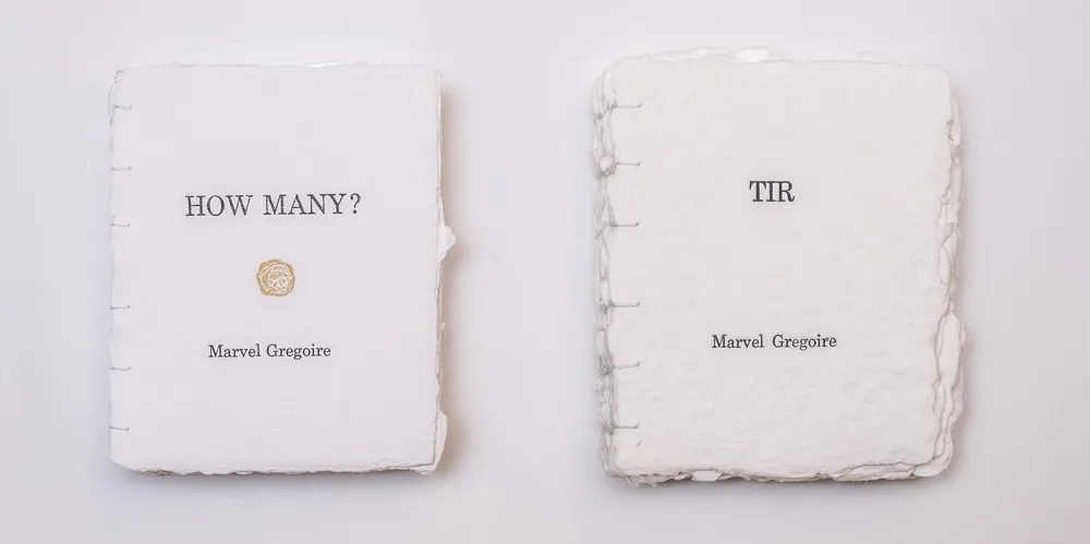 Covers of "How Many?" and "Tir" by Marvel Grégoire