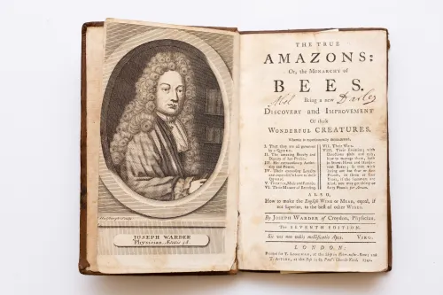 Joseph Warder portrait in his "The True Amazons, or The Monarchy of Bees"