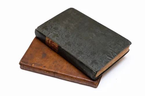Leather-bound covers of Bagster's books on bees