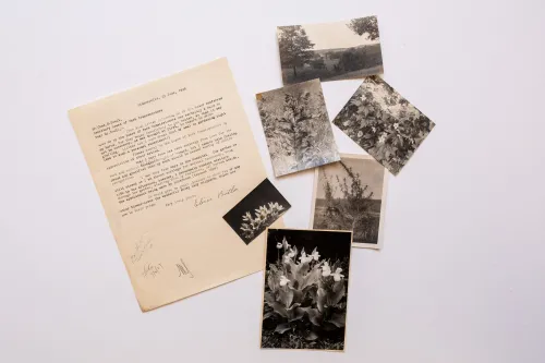 A letter and old photographs from Eloise Butler as a part of Special Collections at Minneapolis Central Library
