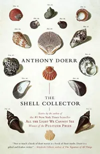 Book cover covered in a variety of shells