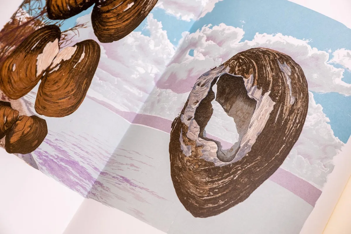 illustration detail from "Lac Des Pleurs" by Gaylord Schanilec